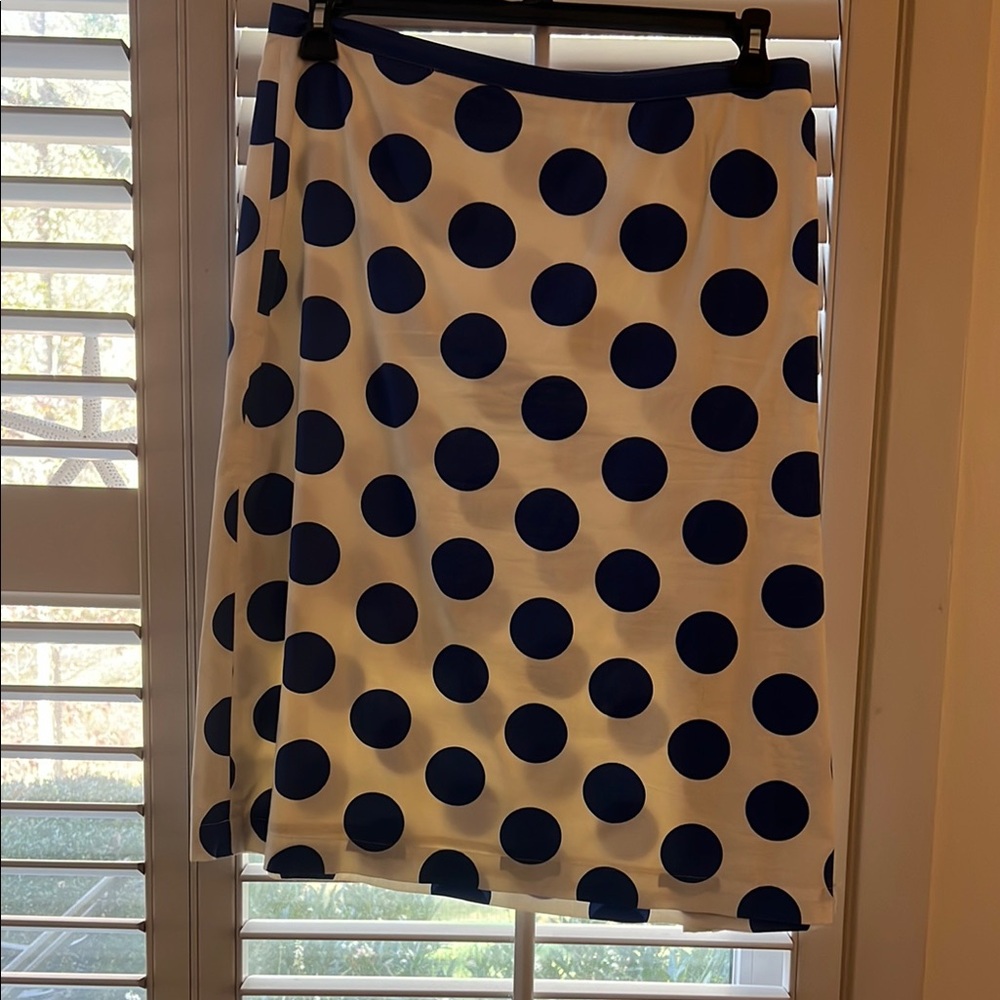 Boden Charming Polka Dot A-Line Skirt